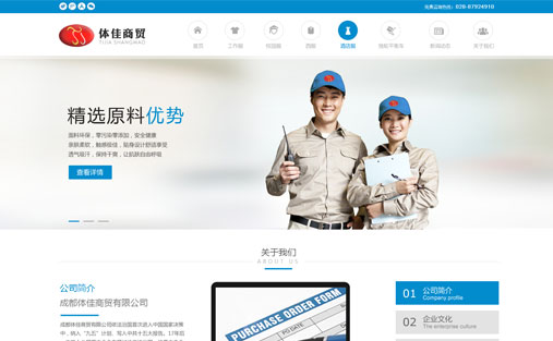 网站定制：体佳商贸